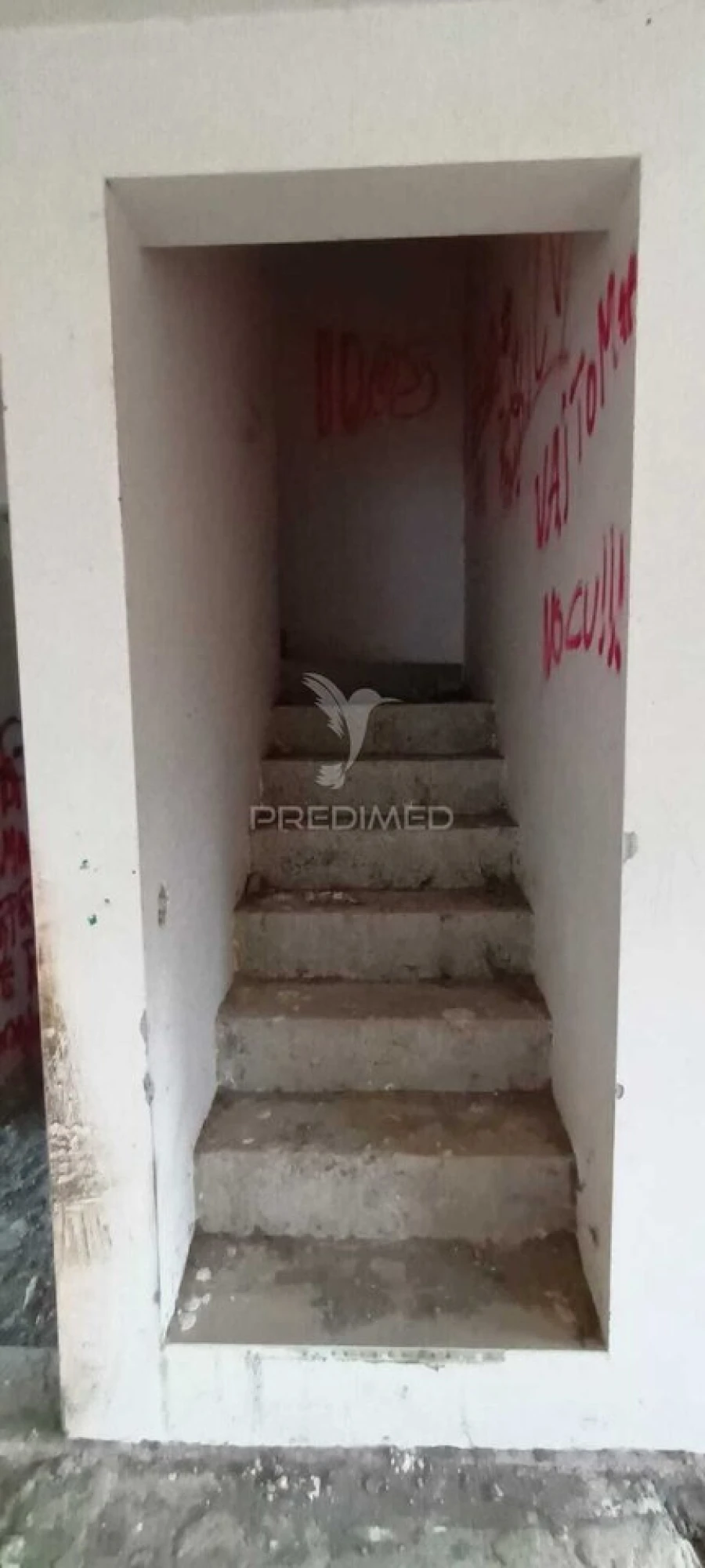 Terreno para Venda em São Mateus Foto 17