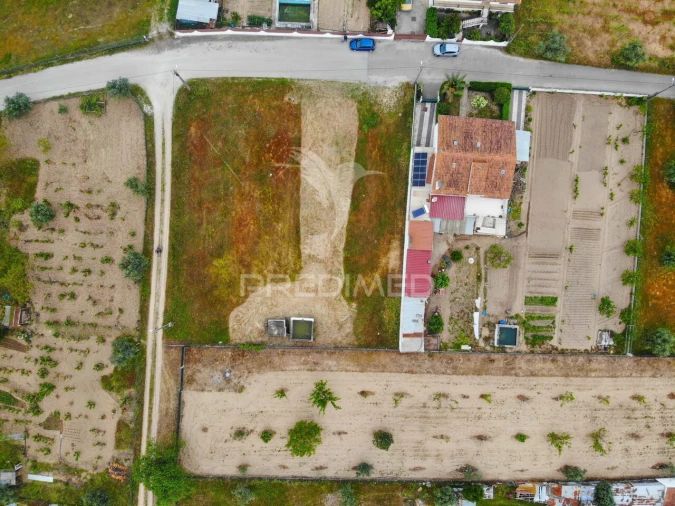 Terreno para Venda em São Miguel do Rio Torto e Rossio Ao Sul do Tejo Foto 3