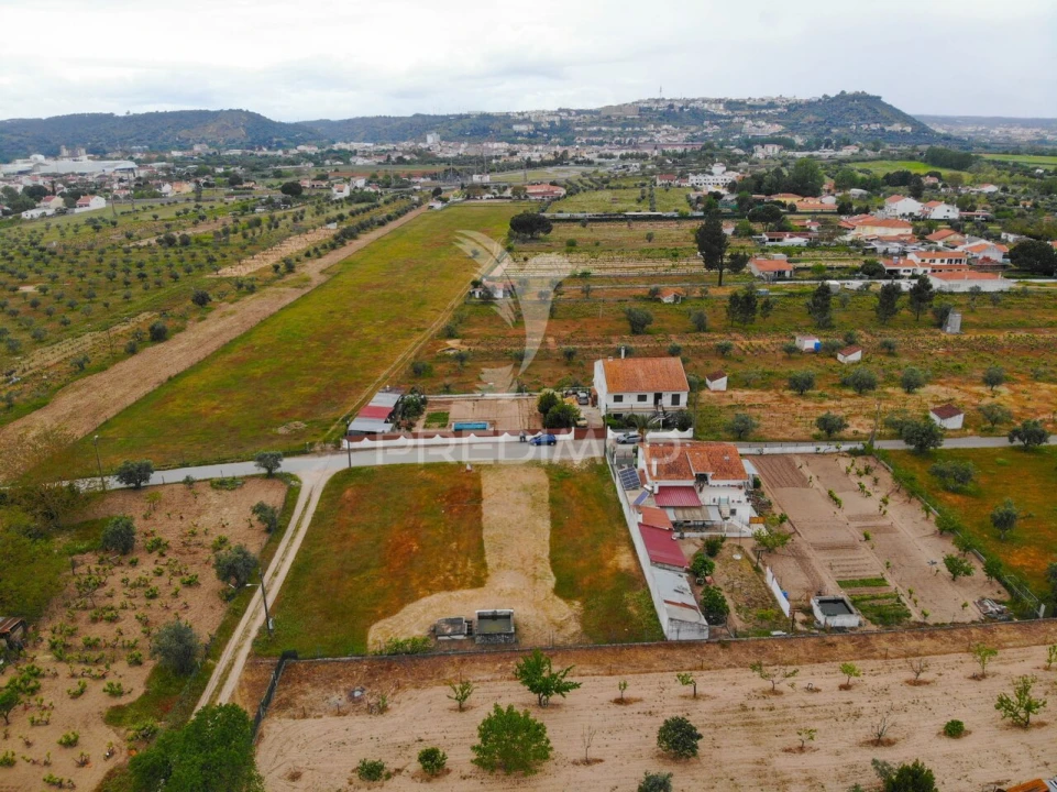 Terreno para Venda em São Miguel do Rio Torto e Rossio Ao Sul do Tejo Foto 5