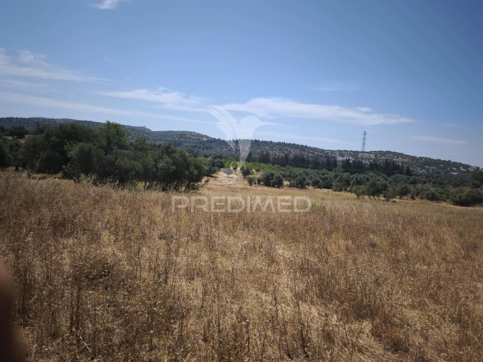 Quinta T4 para Venda em Paderne Foto 4