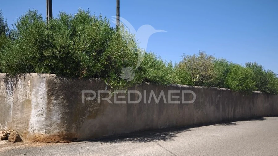 Quinta T4 para Venda em Paderne