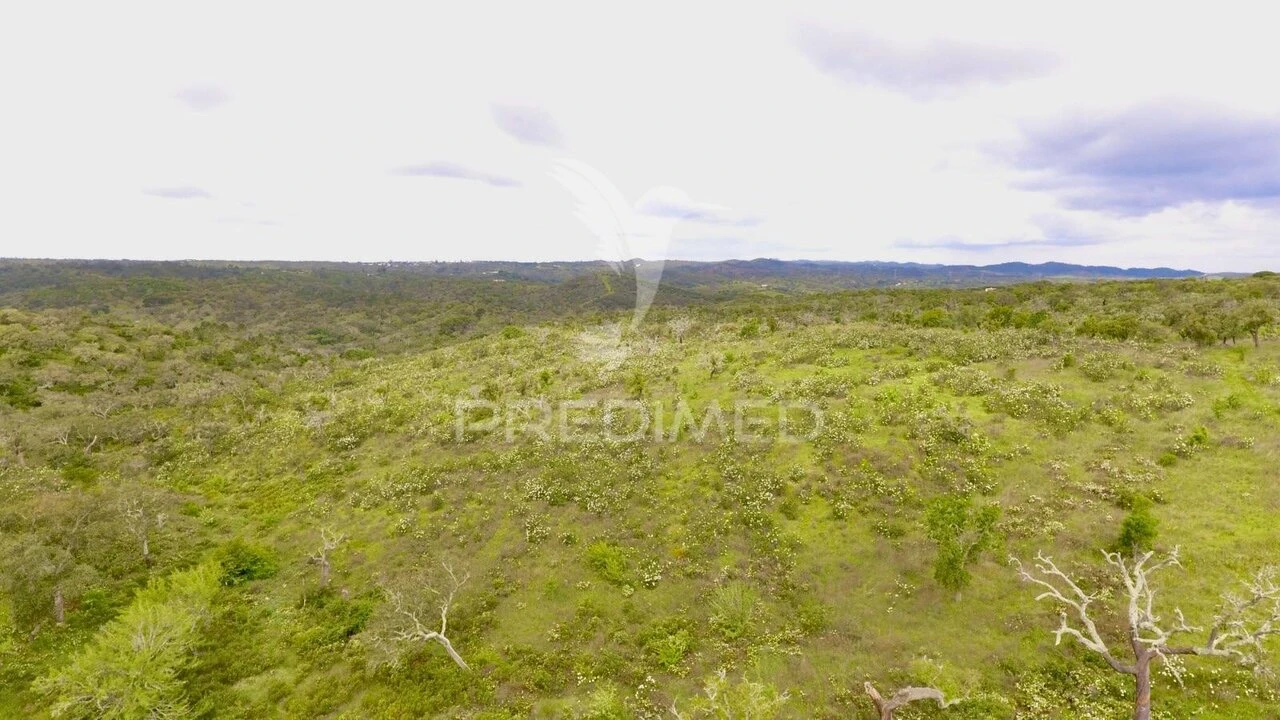 Terreno para Venda em Grândola e Santa Margarida da Serra Foto 5