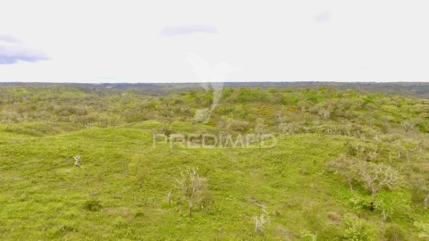 Terreno para Venda em Grândola e Santa Margarida da Serra
