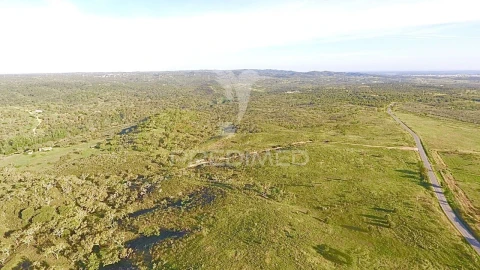 Terreno para Venda em Grândola e Santa Margarida da Serra