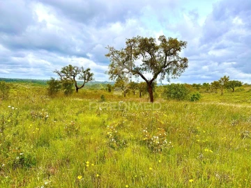 Terreno para Venda em Grândola e Santa Margarida da Serra
