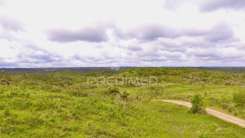 Terreno para Venda em Grândola e Santa Margarida da Serra