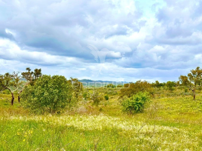 Terreno para Venda em Grândola e Santa Margarida da Serra Foto 26