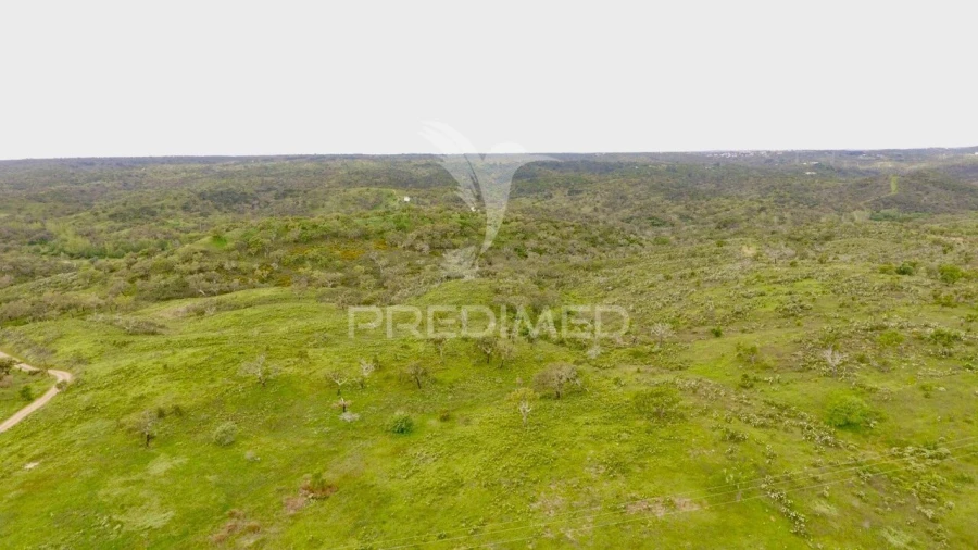 Terreno para Venda em Grândola e Santa Margarida da Serra Foto 9