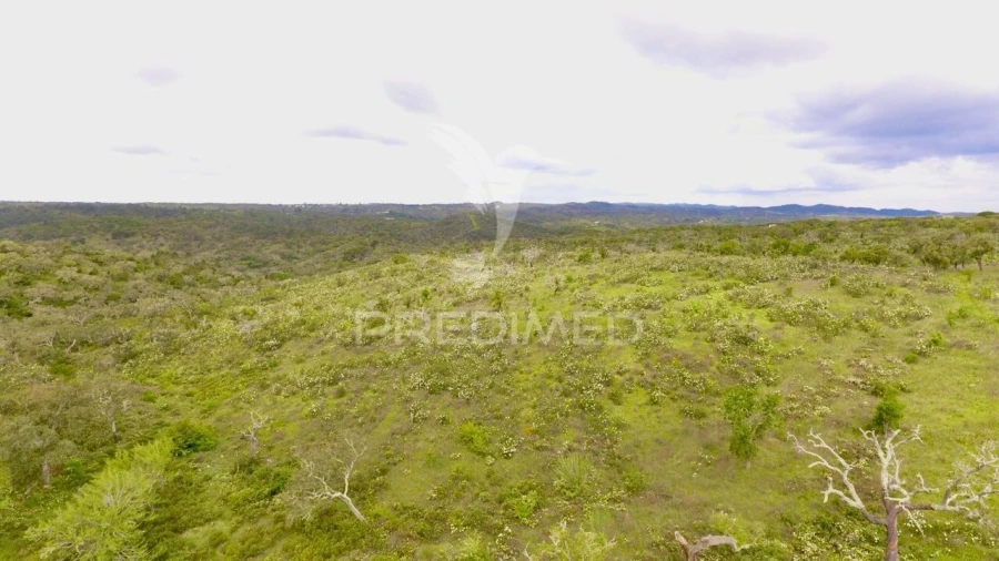 Terreno para Venda em Grândola e Santa Margarida da Serra Foto 5