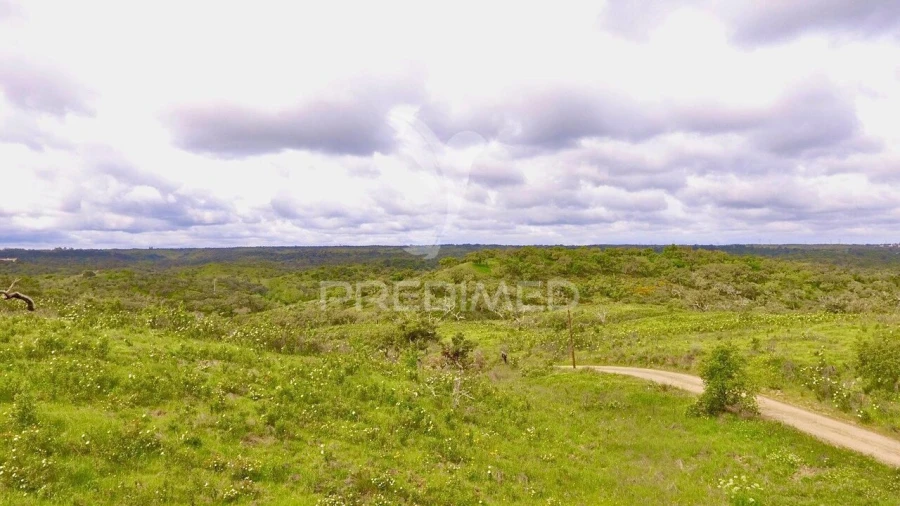 Terreno para Venda em Grândola e Santa Margarida da Serra Foto 12