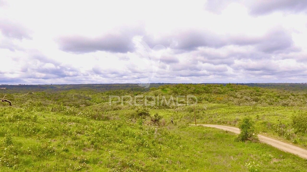 Terreno para Venda em Grândola e Santa Margarida da Serra Foto 12