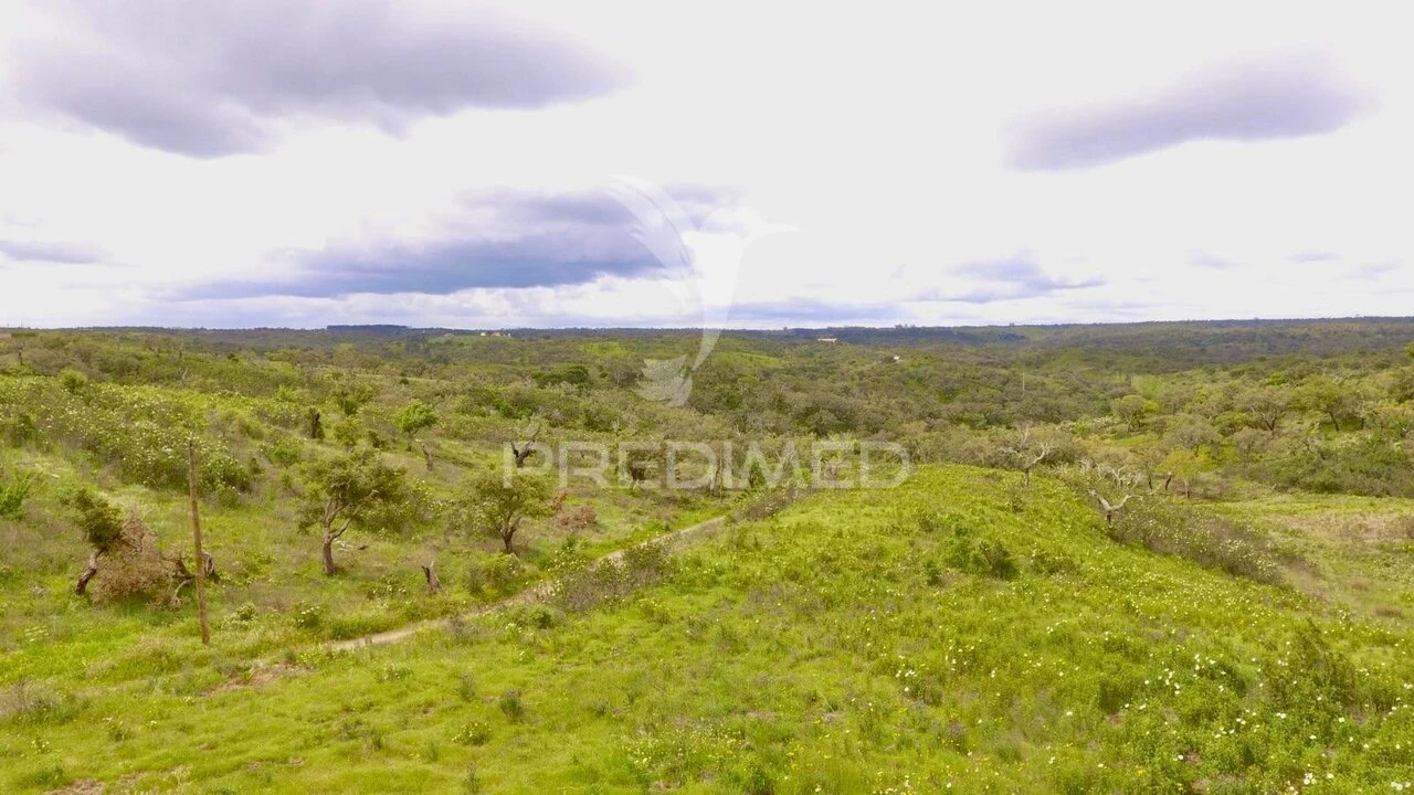 Terreno para Venda em Grândola e Santa Margarida da Serra Foto 3