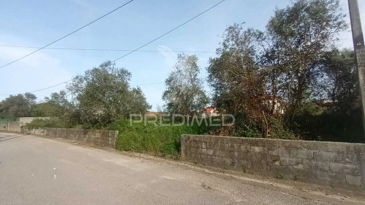 Terreno para Venda em Porto de Mós - São João Baptista e São Pedro Foto 5
