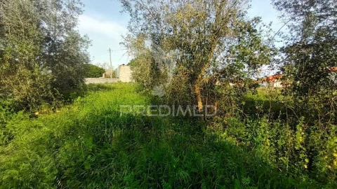 Terreno para Venda em Porto de Mós - São João Baptista e São Pedro