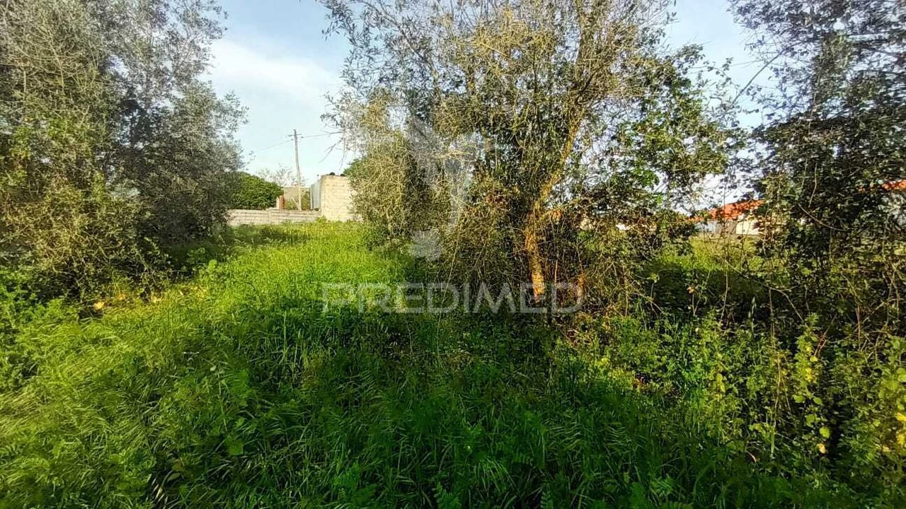 Terreno para Venda em Porto de Mós - São João Baptista e São Pedro Foto 7