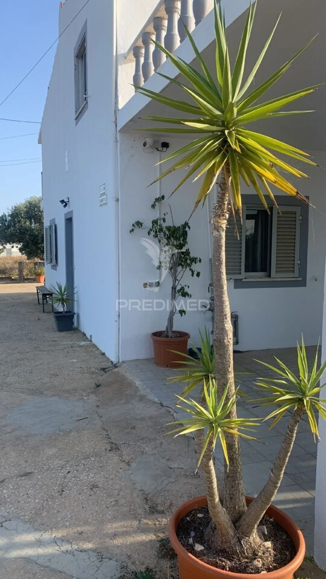 Moradia T0 para Venda em Algoz e Tunes Foto 25