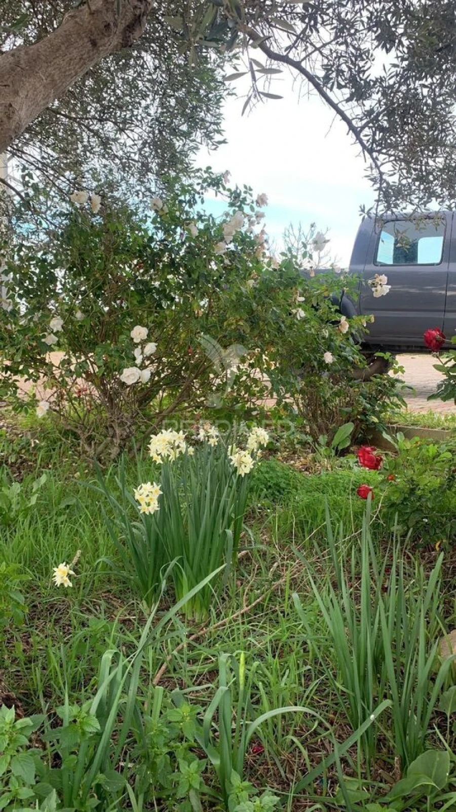 Moradia T0 para Venda em Algoz e Tunes Foto 15