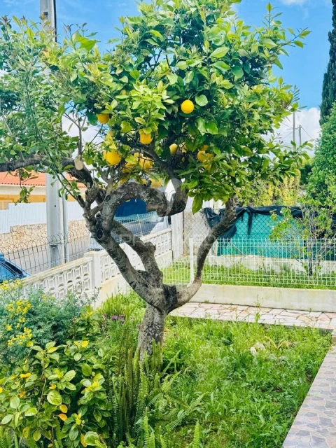 Moradia T2 para Venda em Paderne