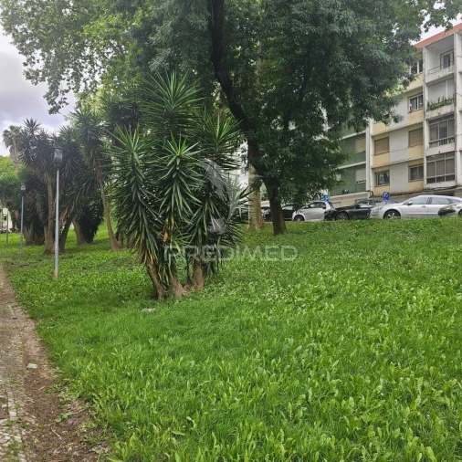 Apartamento T2 para Venda em Benfica Foto 13