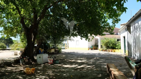 Moradia T3 para Venda em Ponte de Sor, Tramaga e Vale de Açor