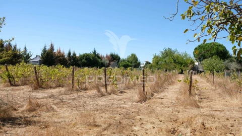 Moradia T3 para Venda em Ponte de Sor, Tramaga e Vale de Açor