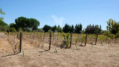 Moradia T3 para Venda em Ponte de Sor, Tramaga e Vale de Açor