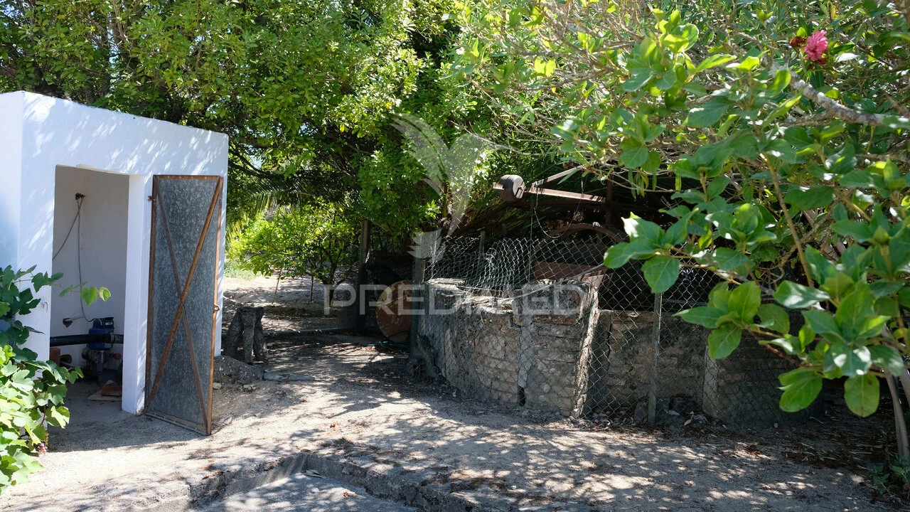 Moradia T3 para Venda em Ponte de Sor, Tramaga e Vale de Açor Foto 26