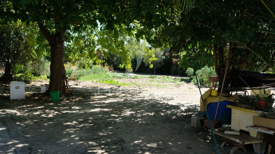 Moradia T3 para Venda em Ponte de Sor, Tramaga e Vale de Açor Foto 22