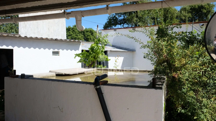 Moradia T3 para Venda em Ponte de Sor, Tramaga e Vale de Açor Foto 3