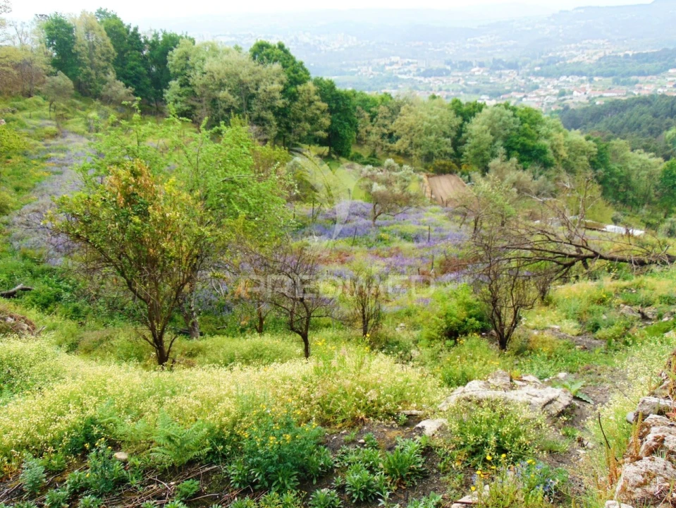 Terreno para Venda em Lordelo Foto 14