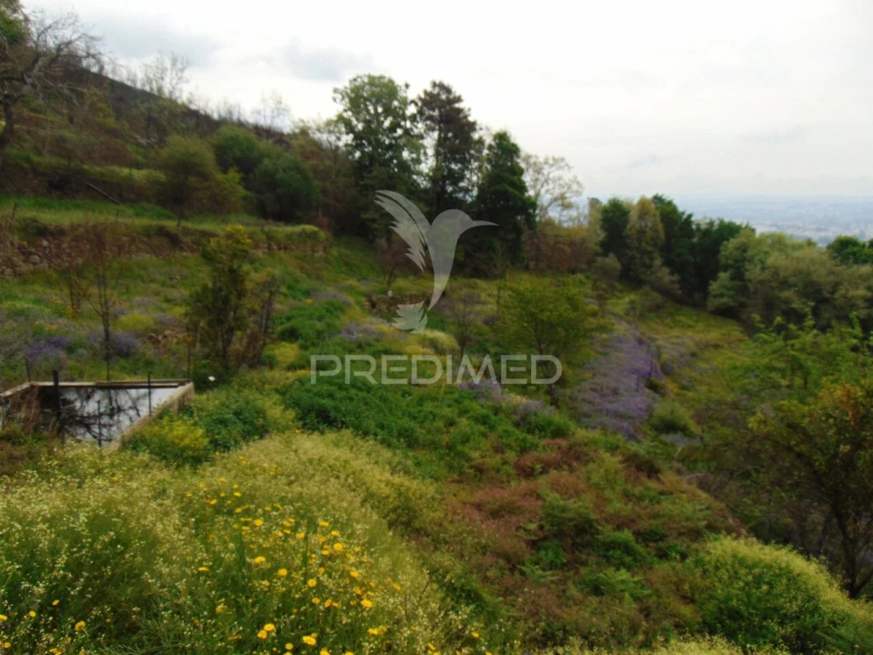 Terreno para Venda em Lordelo Foto 23