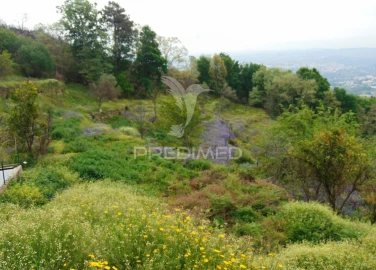 Terreno para Venda em Lordelo