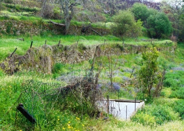 Terreno para Venda em Lordelo