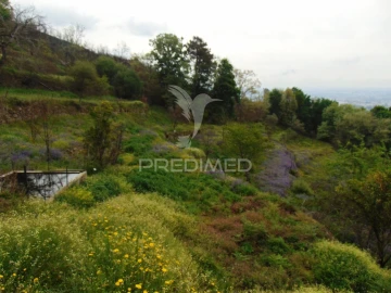 Terreno para Venda em Lordelo