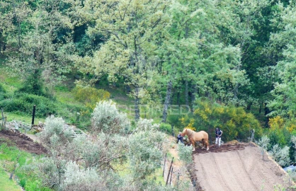Terreno para Venda em Lordelo