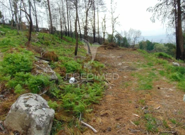 Terreno para Venda em Lordelo