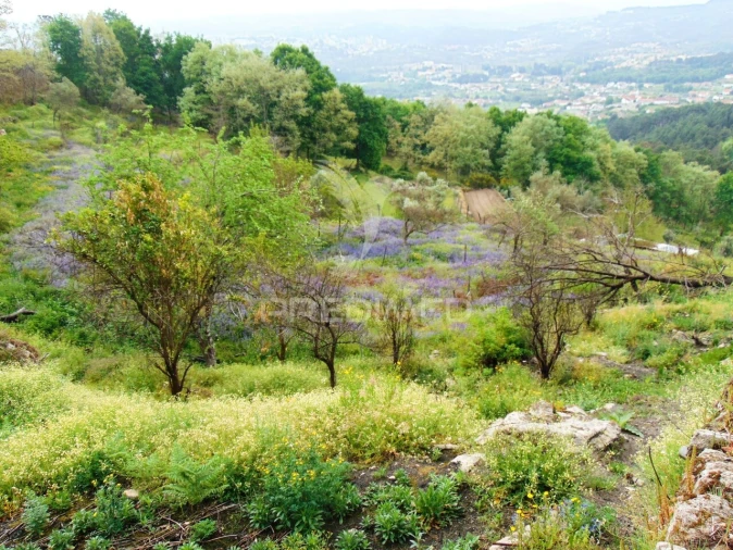 Terreno para Venda em Lordelo Foto 14