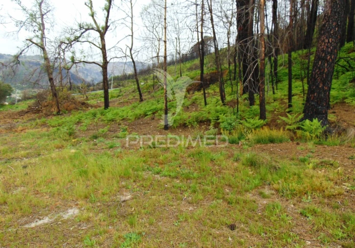 Terreno para Venda em Lordelo Foto 27