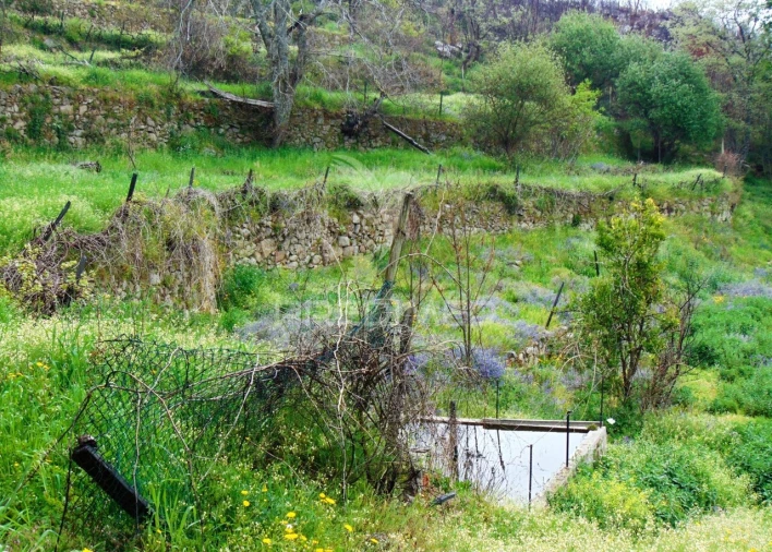 Terreno para Venda em Lordelo Foto 24