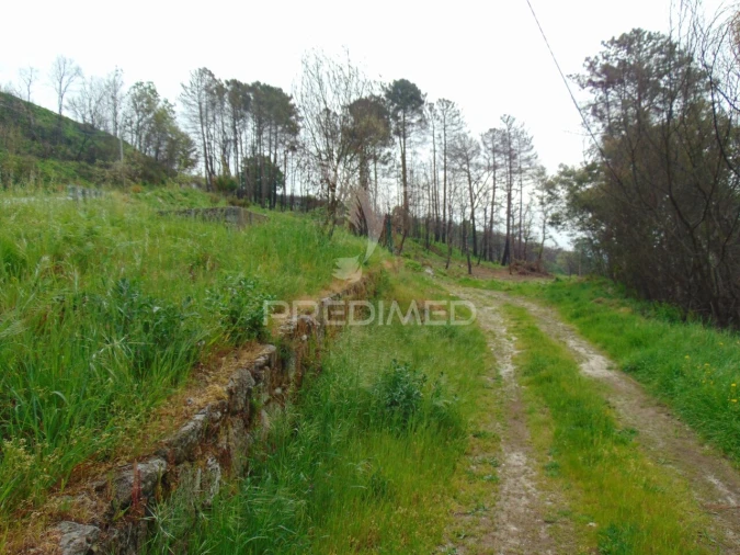 Terreno para Venda em Lordelo Foto 2