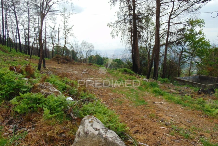 Terreno para Venda em Lordelo Foto 30