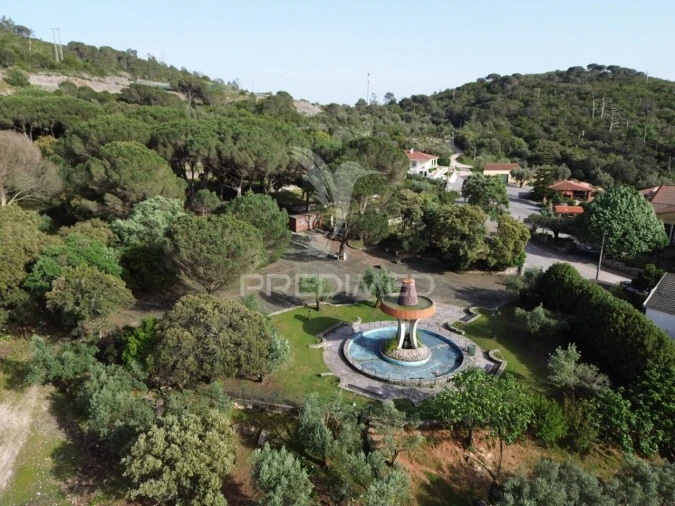 Quinta T4 para Venda em Minde Foto 13