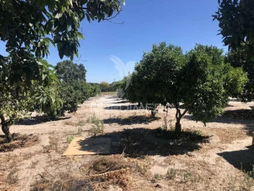 Moradia T7 para Venda em Grândola e Santa Margarida da Serra