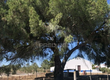 Moradia T7 para Venda em Grândola e Santa Margarida da Serra