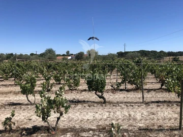 Moradia T7 para Venda em Grândola e Santa Margarida da Serra