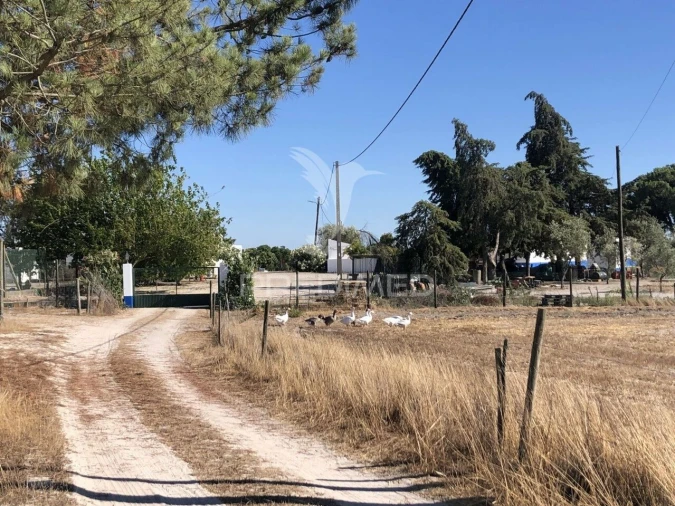 Moradia T7 para Venda em Grândola e Santa Margarida da Serra Foto 3