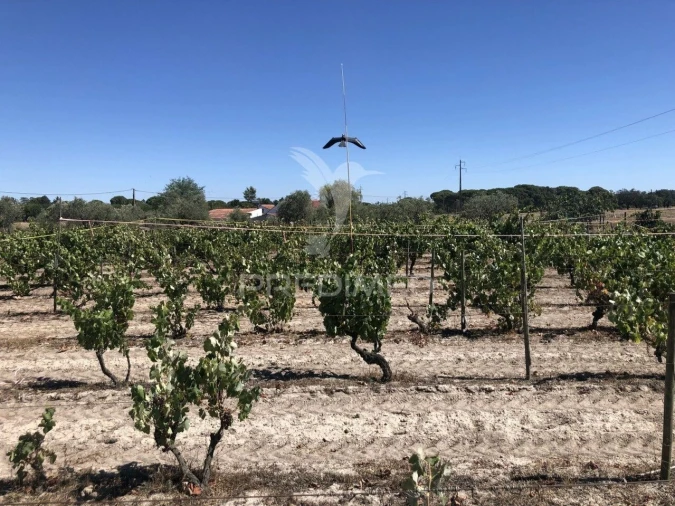 Moradia T7 para Venda em Grândola e Santa Margarida da Serra Foto 9