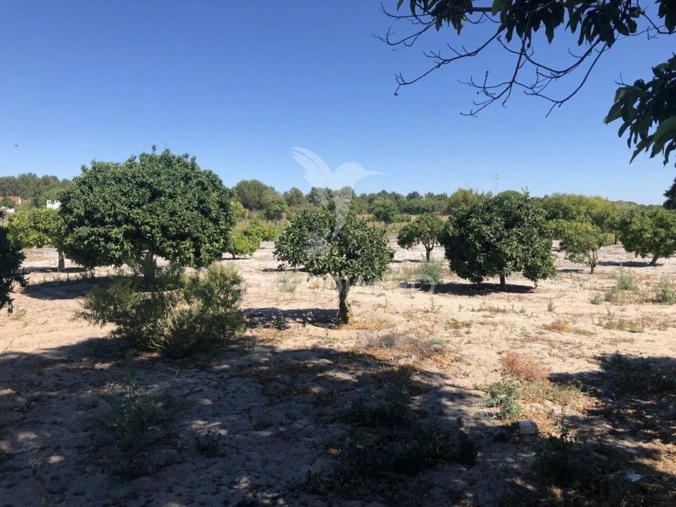 Moradia T7 para Venda em Grândola e Santa Margarida da Serra Foto 7