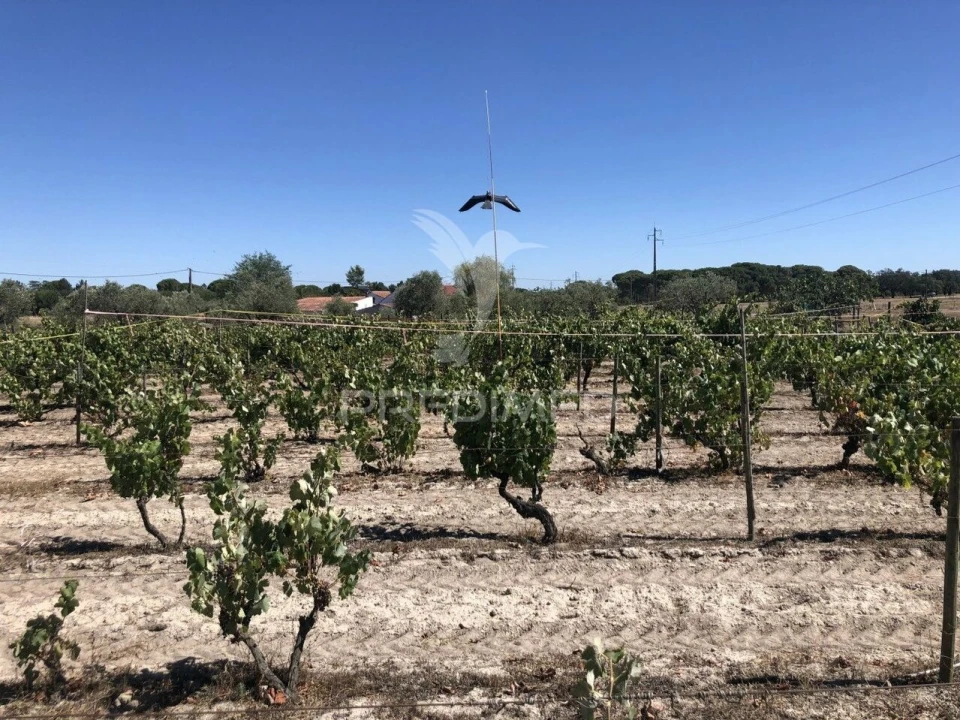 Moradia T7 para Venda em Grândola e Santa Margarida da Serra Foto 9