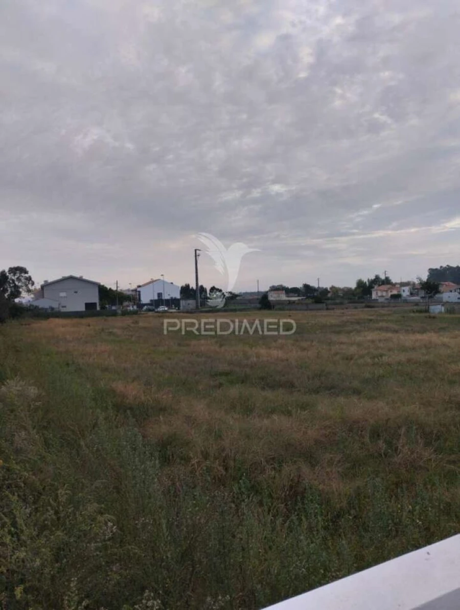 Terreno para Venda em Póvoa de Varzim, Beiriz e Argivai Foto 3